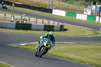 Advanced Group Silver_Grey Bikes